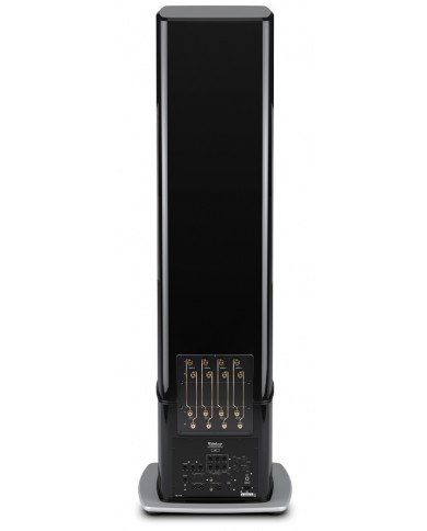McIntosh PS2K Subwoofer arka bağlantı terminalleri siyah parlak.