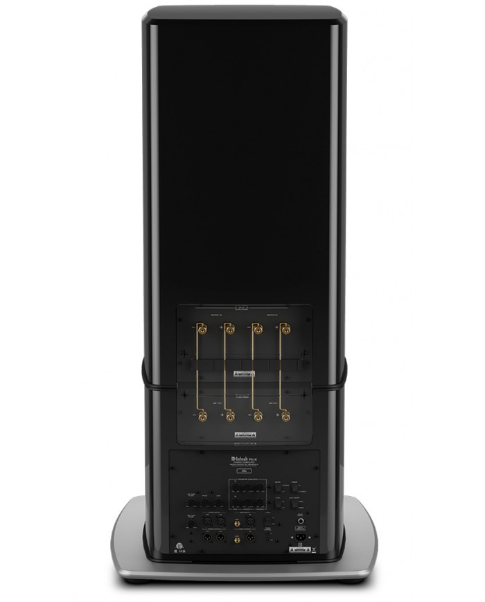 McIntosh PS1K Subwoofer siyah parlak arka panel ve altın kaplama bağlantı terminalleri.