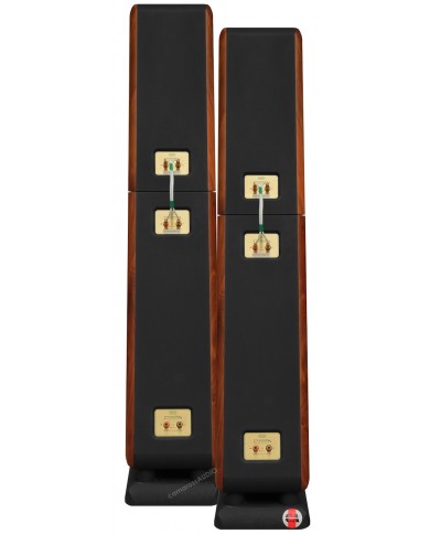Chario Constellation Ursa Major Walnut hoparlör arkası, bi-wire bağlantı terminalleri.