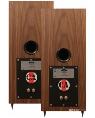 Neat Iota ALPHA hoparlör arkası, ceviz kaplama, bas refleks portu ve terminaller.