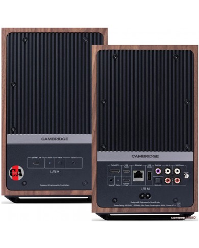 Cambridge Audio L/R M hoparlör arka bağlantı portları ahşap kaplama