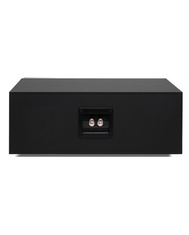 Qudral Signum 10 Base siyah subwoofer arka bağlantı terminalleri.