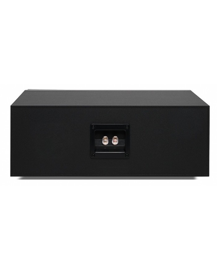 Qudral Signum 10 Base siyah subwoofer arka bağlantı terminalleri.