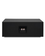 Qudral Signum 10 Base siyah subwoofer arka bağlantı terminalleri.
