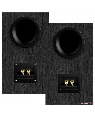 Elac Debut 3.0 DB63 hoparlör arka port ve altın kaplama terminalleri.
