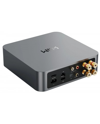 WiiM Amp Pro gri renkli, kompakt streamer amplifikatörün arka bağlantılarını gösteren fotoğraf.