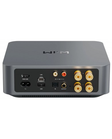 WiiM Amp Pro gri renkli Hi-Fi ses amfisi arka bağlantı noktaları.
