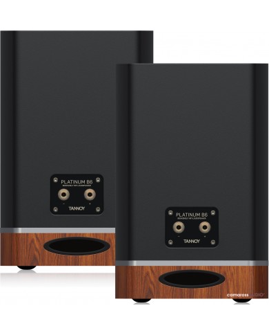 Tannoy Platinum B6 BU Arka panel