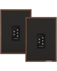 Tannoy Eaton Hoparlör Arkası Bağlantı Terminali - Ceviz Kaplama