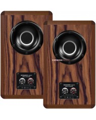 Dynaudio Legend hoparlör arkası, ahşap kaplama, siyah sürücü ve terminaller.