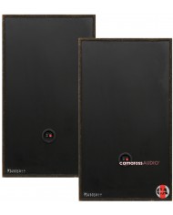 Pioneer CS-999 siyah hoparlör ön panelleri, Camaross Audio logo ve bağlantı terminalleri.