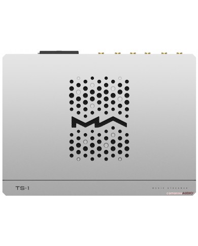 Matrix Audio TS-1 Gümüş Müzik Streamer Üst Görünüm Soğutma Deliği Detayları