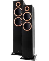 Argon Audio FORTE A55 MK2 Siyah Hoparlör Bakır Detaylı Çift