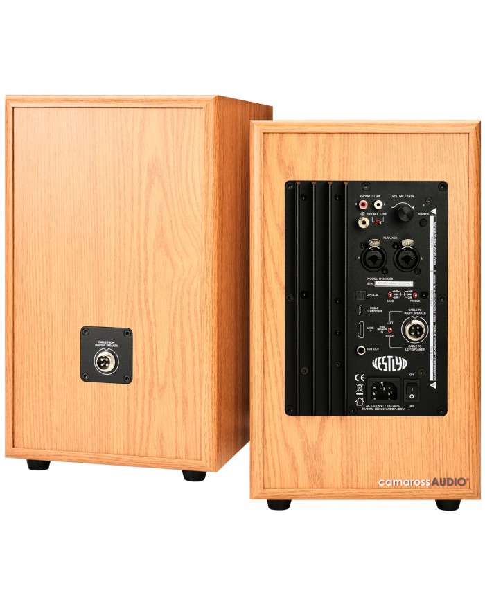 Vestlyd M6C Power Monitor ahşap aktif hoparlör arkası bağlantıları.