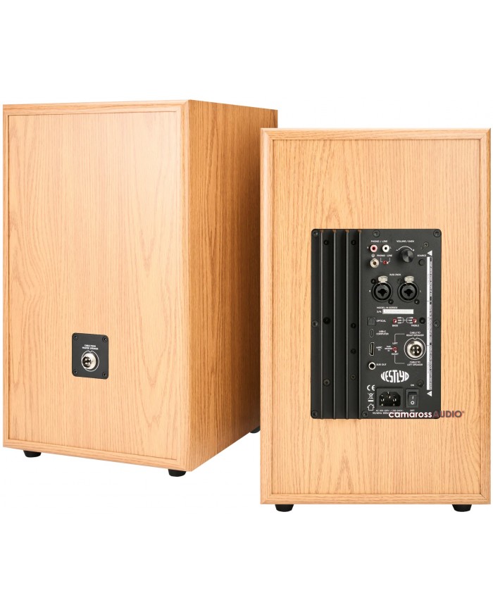 Vestlyd M8C Power Monitor ahşap kabinli hoparlör arka bağlantı paneli.