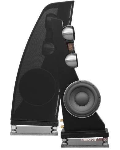 Anthony Gallo Reference 3.1 hoparlör siyah, subwoofer ve tweeter detaylı.