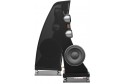 Anthony Gallo Reference 3.1 hoparlör siyah, subwoofer ve tweeter detaylı.