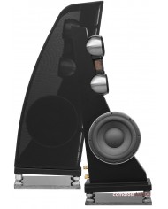 Anthony Gallo Reference 3.1 hoparlör siyah, subwoofer ve tweeter detaylı.