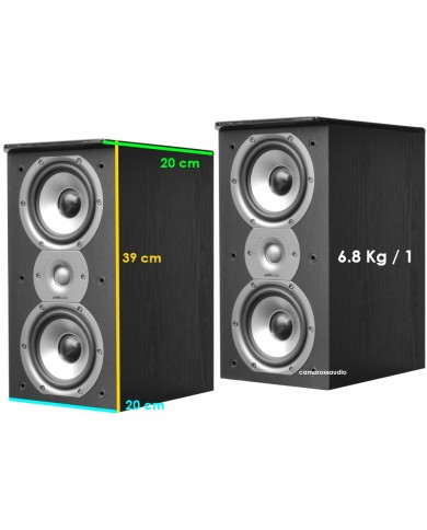 Polk Audio TSi 200 size