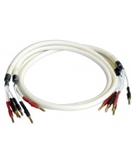 Chord Bi-Ware Beyaz Hoparlör Kablosu - Muz Fişli