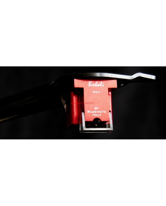 Bluenote Piccolo BoboliMK2