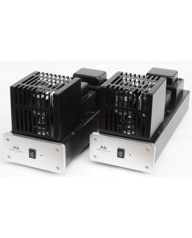 Antique Sound Labs AV-20 Monoblock Power Amplifier