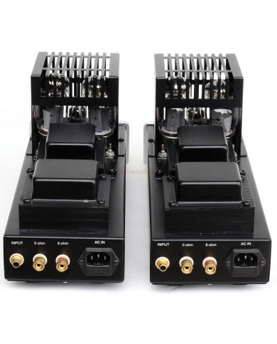 Antique Sound Labs AV-20 Monoblock Power Amplifier