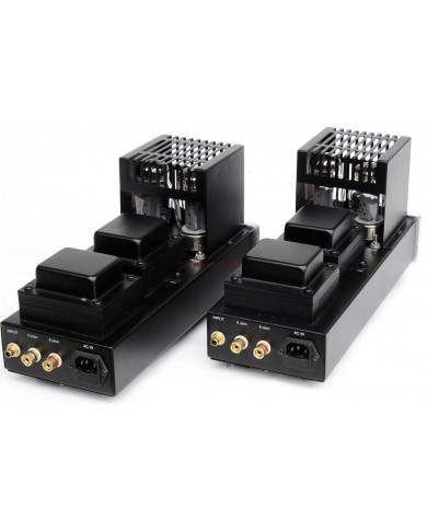 Antique Sound Labs AV-20 Monoblock Power Amplifier