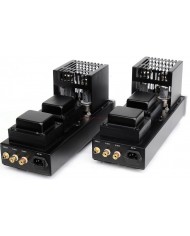 Antique Sound Labs AV-20 Monoblock Power Amplifier