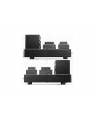 Antique Sound Labs AV-20 Monoblock Power Amplifier