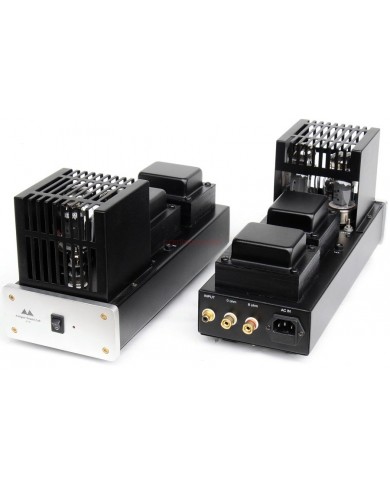 Antique Sound Labs AV-20 Monoblock Power Amplifier