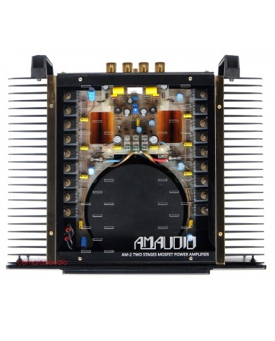 AM Audio AM2 Reference Mono Power Amplifier