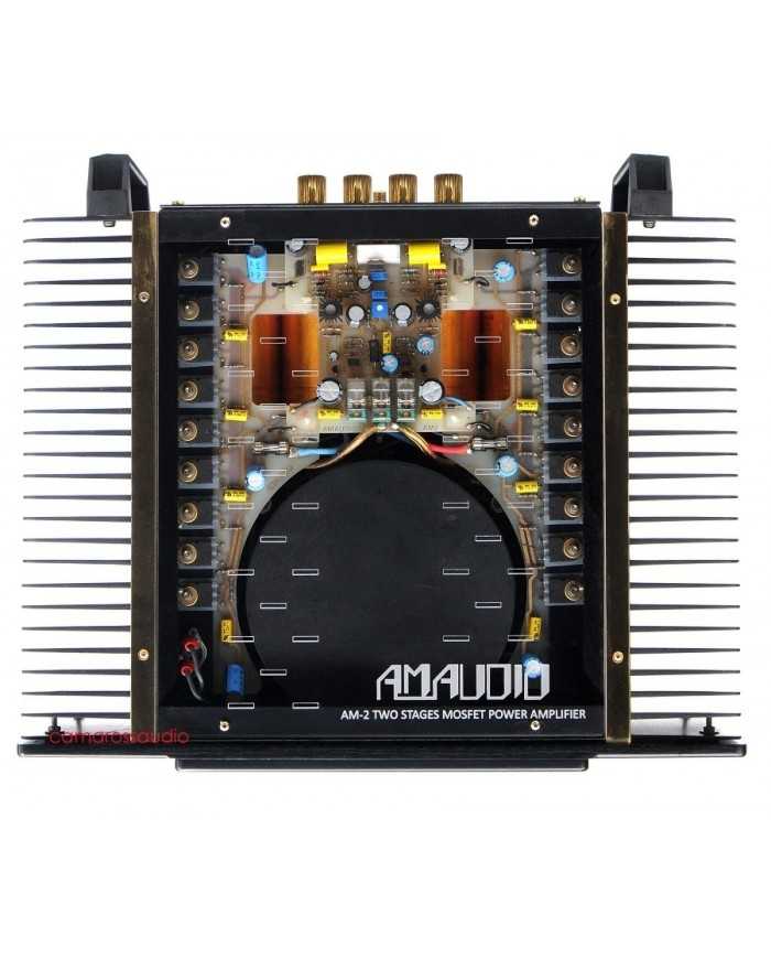 AM Audio AM2 Referans Mono Güç Amplifikatörü, MOSFET, gümüş ve siyah.