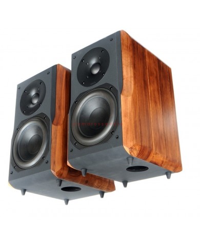 Chario Constellation Delphinus