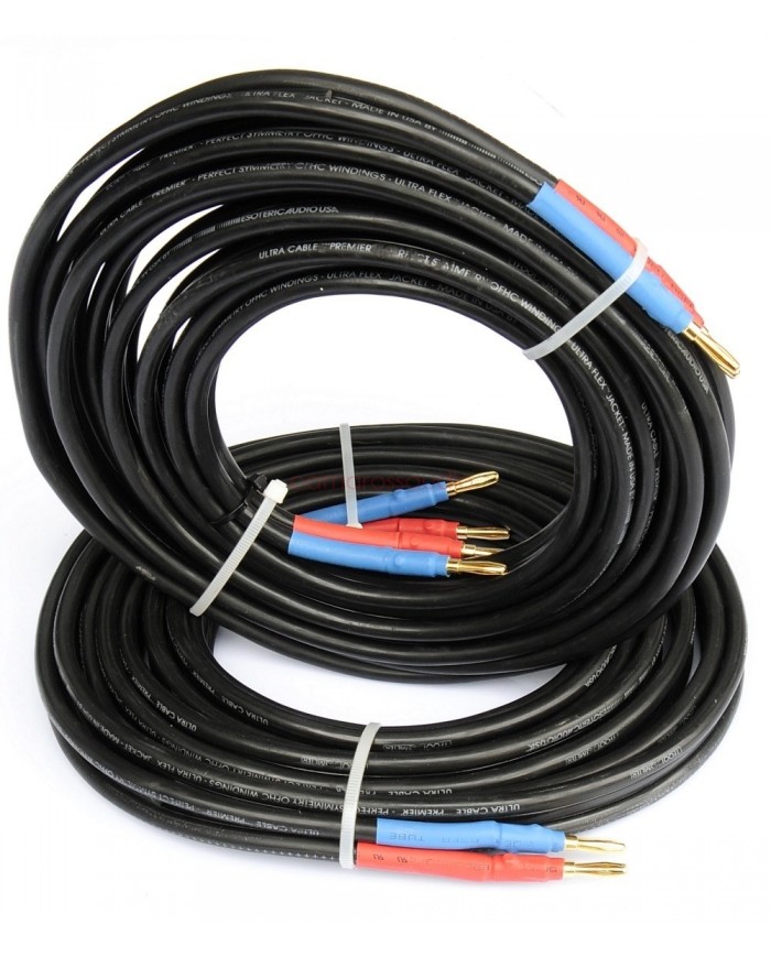 Esoteric Preminium Series Speaker Cable (5mtx2)
