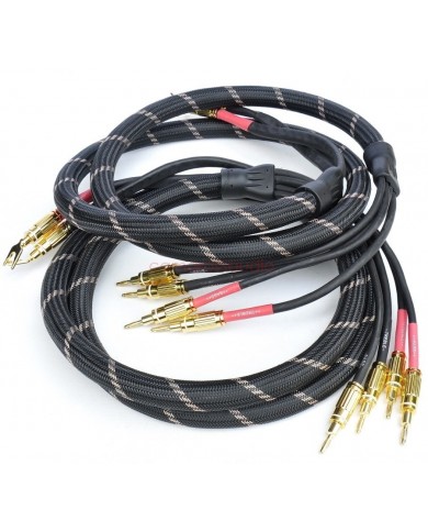 Vincent Bi-ware Speaker Cable 2x2mt