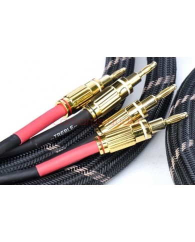 Vincent Bi-ware Speaker Cable 2x3mt