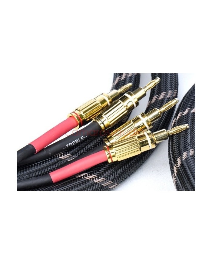 Vincent Bi-ware Speaker Cable 2x3mt