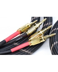 Vincent Bi-ware Speaker Cable 2x3mt