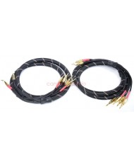 Vincent Bi-ware Speaker Cable 2x3mt