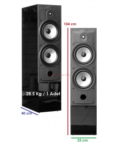 ENERGY Connoisseur C-8