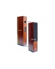 icon Audio MFV 3 Speaker  icon Audio MFV 3 Speaker