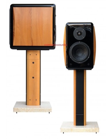 Usher Compass X-719 Speaker RSW-708 Stand