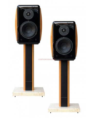 Usher Compass X-719 Speaker RSW-708 Stand