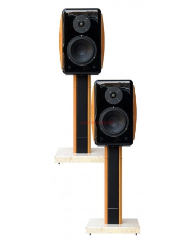 Usher Compass X-719 Speaker RSW-708 Stand