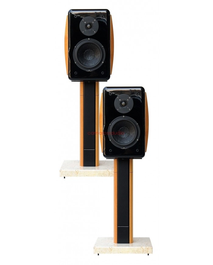 Usher Compass X-719 Speaker RSW-708 Stand