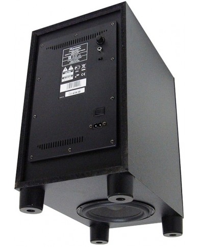 Pioneer S-ES21 Front-Center-Rear-S21W Subwoofer