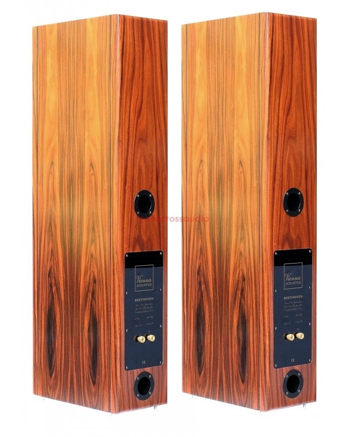 Vienna acoustics Beethoven
