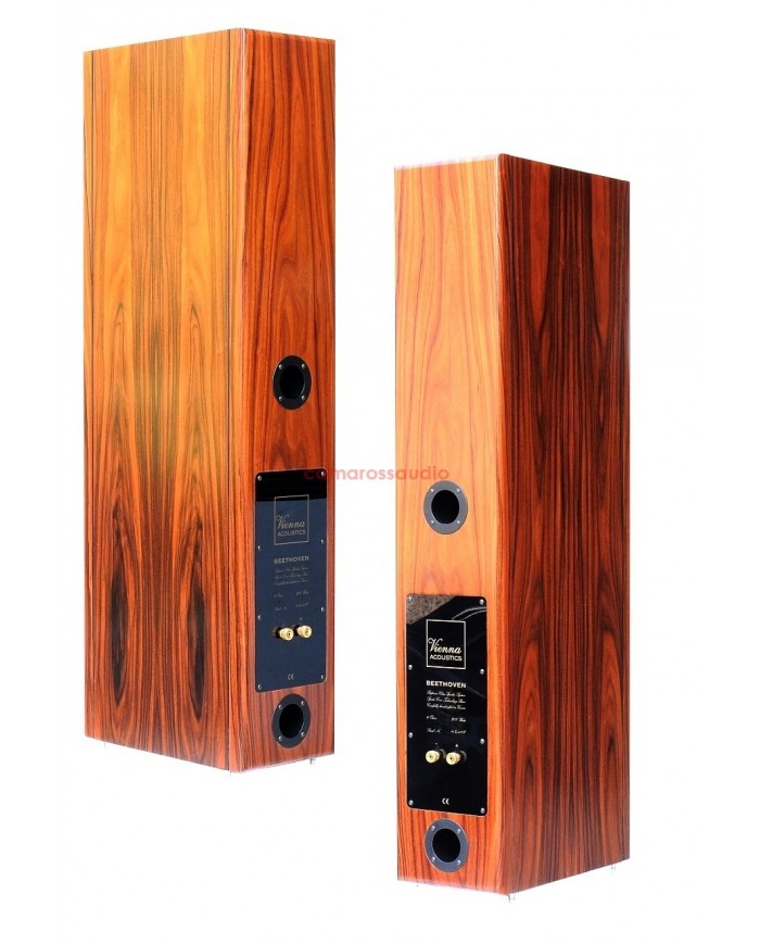 Vienna acoustics Beethoven