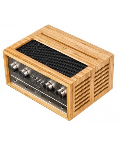 iFi Audio Retro 50 Stereo Sistem